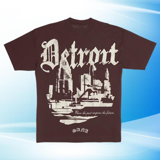 Official Sana Detroit Red Wings Sana Detroit Distressed 3D Detroit Tshirt - Brown