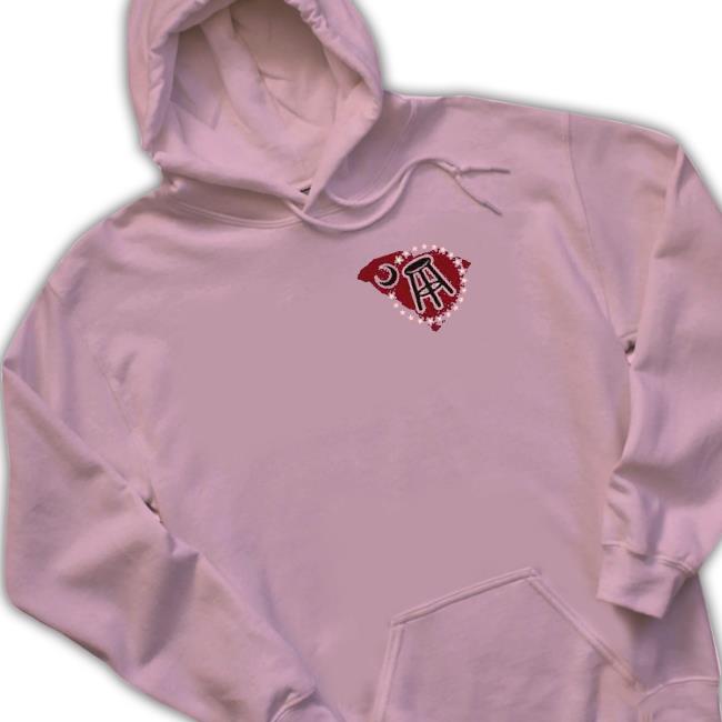 Official we lost to south carolina bowl Hoodie