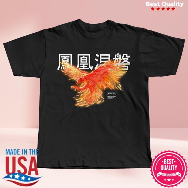 Rise From The Ashes Tee Shirt DREAM Clothing