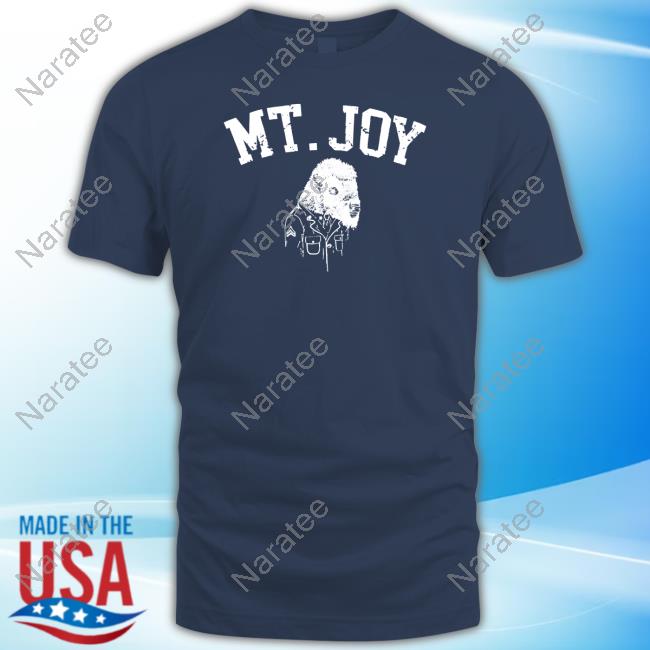 Mt Joy Merch Buffalo Tee