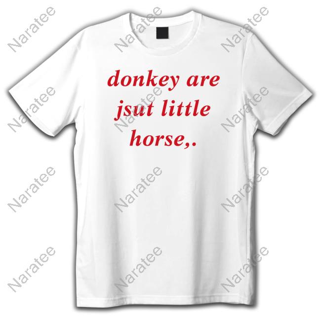 Donkey Are Jsut Little Horse Hoodie
