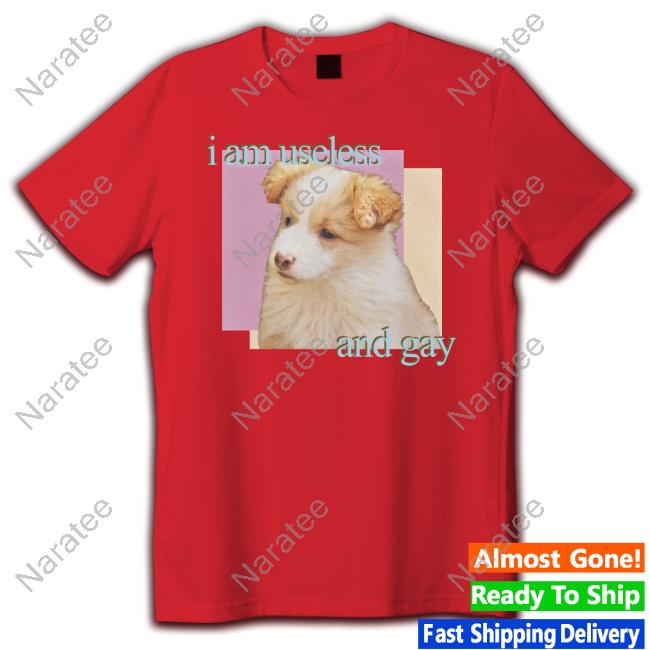 I Am Useless And Gay T-Shirt
