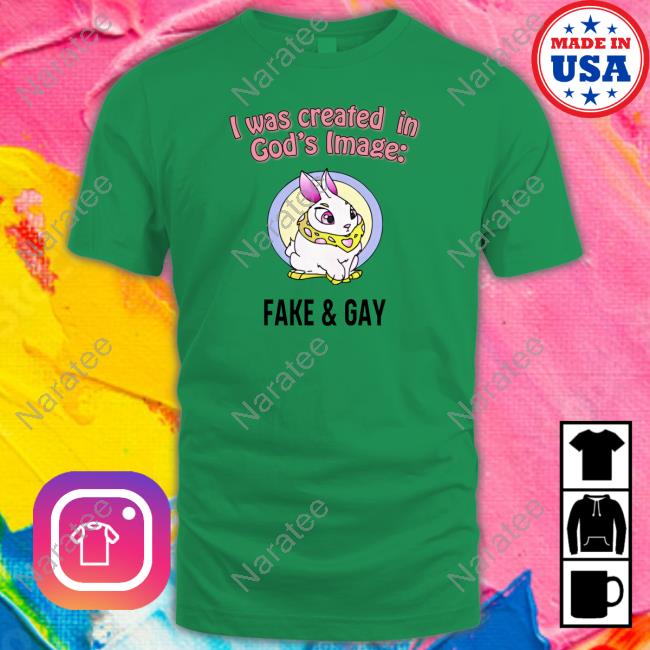 I Was Created In God's Fake & Gay Hoodie Omgchomp
