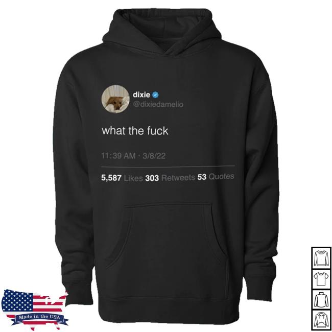 Official Dixie D'amelio Merch Shop Wtf Tweet Pullover Hoodie