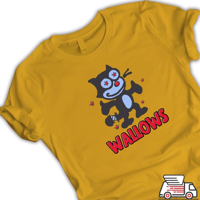 Wallows Merch Wallows Cat Concertleaks Hoodie
