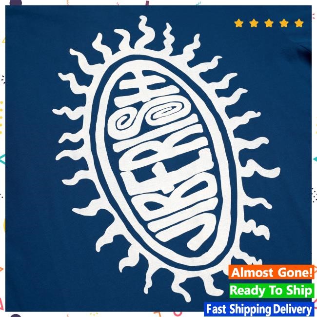 Official Jiberish Merch Daystar Heavyweight Organic T Shirt Aegean