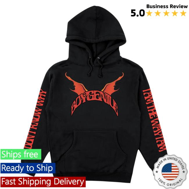 Official Boygenius Merch Demon Hoodie
