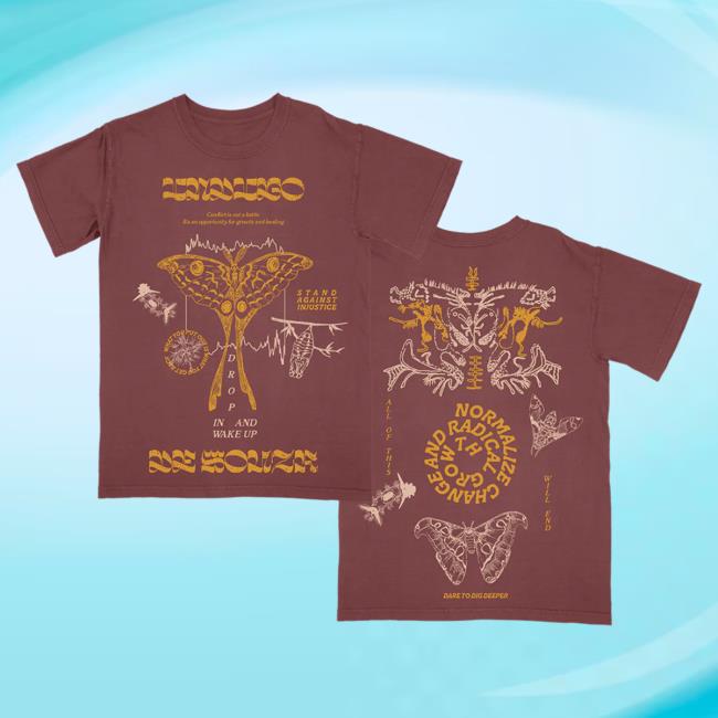 Official Hello Merch Indigo De Souza Metamorphosis Brick T Shirt HelloMerch