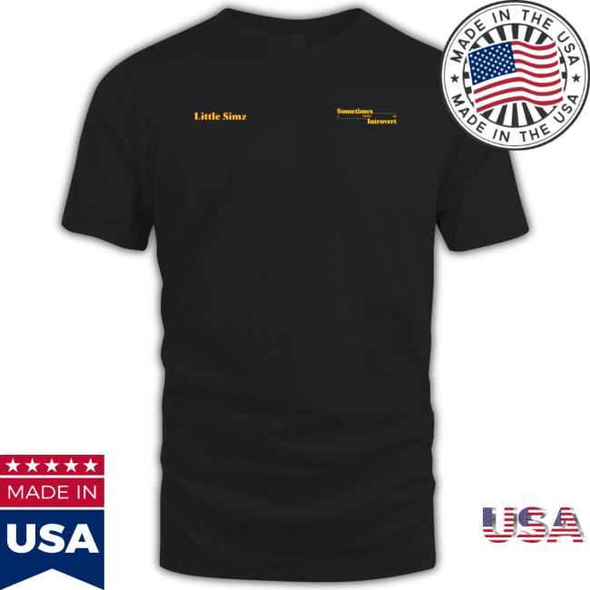 Little Simz Introvert Tour 2022 Long Sleeve Tee