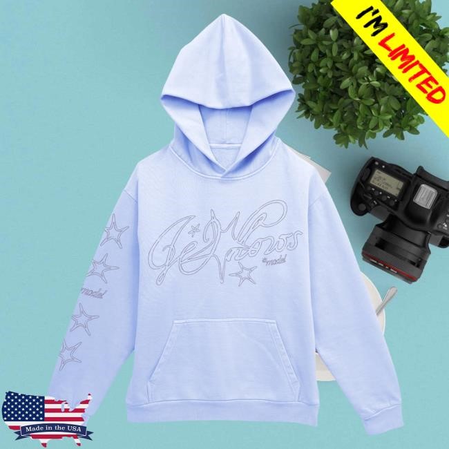 Wallows Model Star Pullover Hoodie – Wallows Store