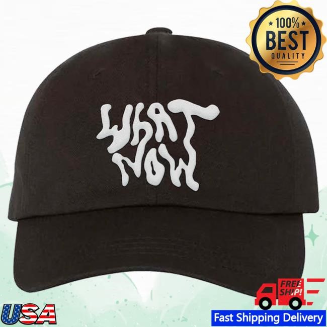 Official Brittany Howard Merch Store What Now Dad Cap