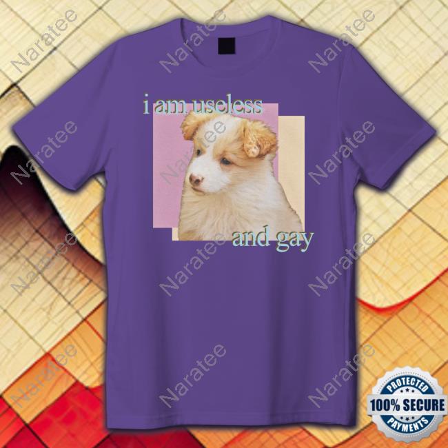Official Shirts That Go Hard I Am Useless And Gay Shirts