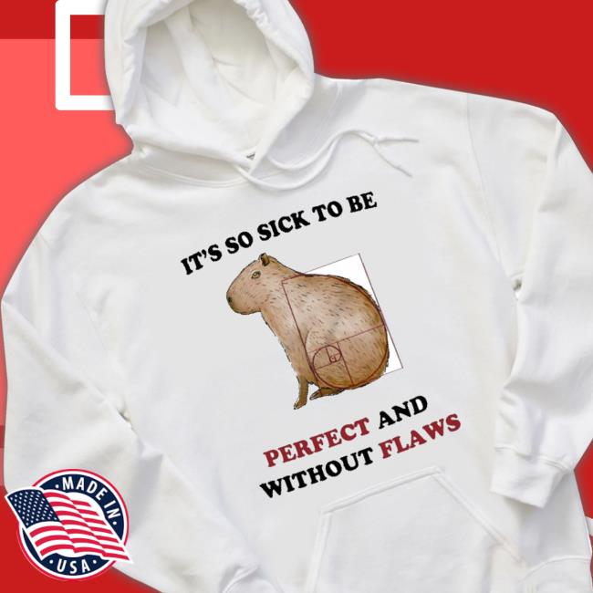 Official It’S So Sick To Be Perfect And Without Flaws shirt