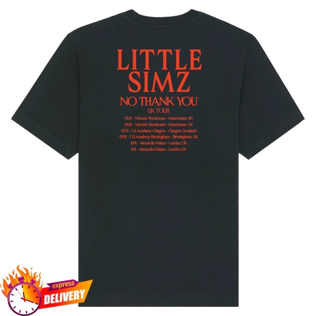 Little Simz Photo Repeat 2023 Tour Tee Shirt Little Simz Store Merch